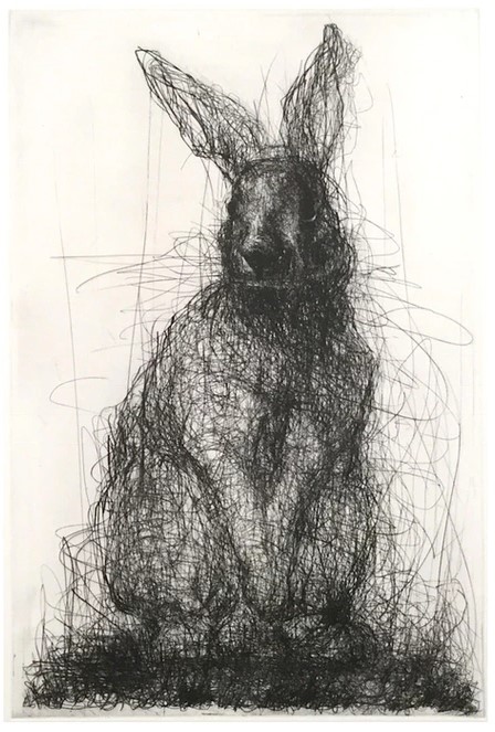 Susan Siegel - Rabbit