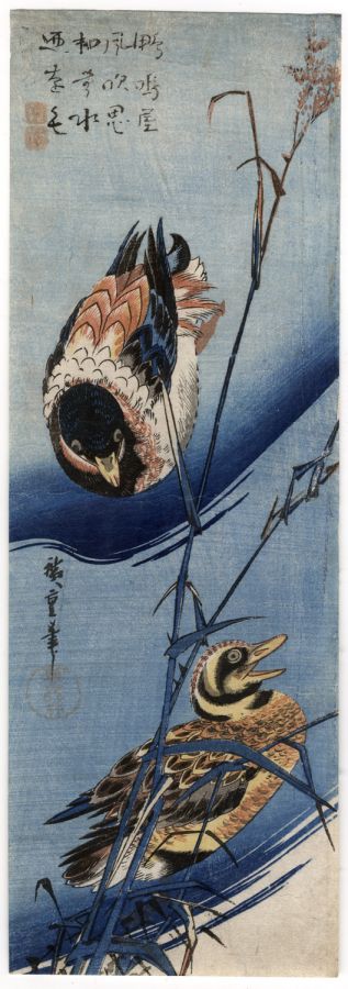 Utagawa Hiroshige - Ducks and Reeds
