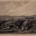 Cassilly Adams - NATIVE AMERICANS HUNTING - TWO DRAWINGS