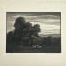 Thomas Nason - LANDSCAPE WITH SHEEP
