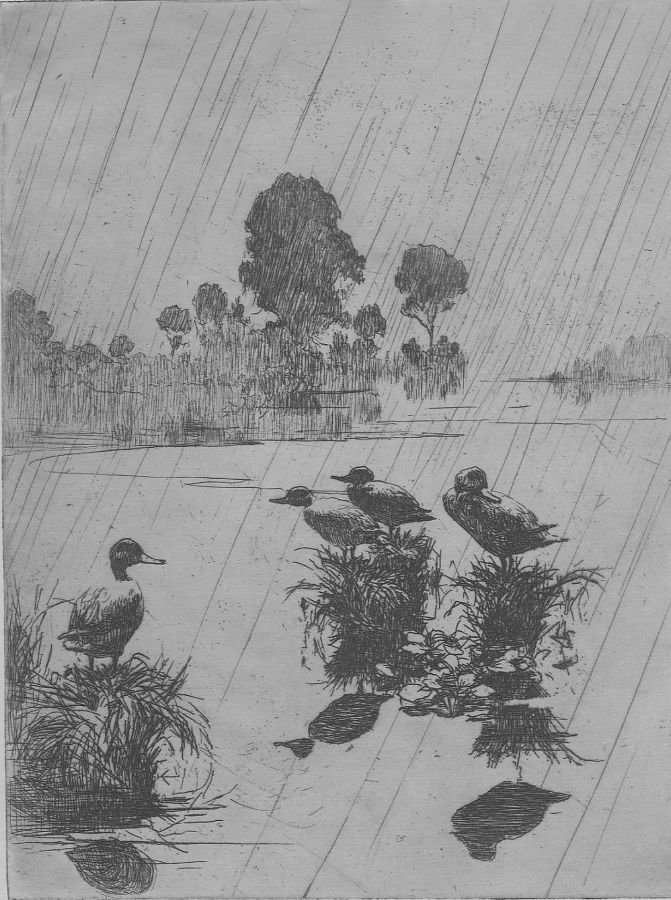 Frank Weston Benson - Ducks in the Rain