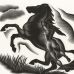 Paul Landacre - Black Stallion