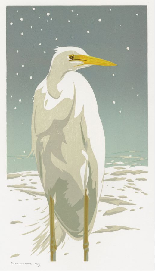 Erik van Ommen - White Egret in the Snow