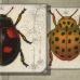 Michel Estebe - Two Beetles