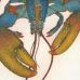Michel Estebe - Blue Lobster from Brittany