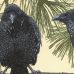 Monique Wales - An Unkindness of Ravens
