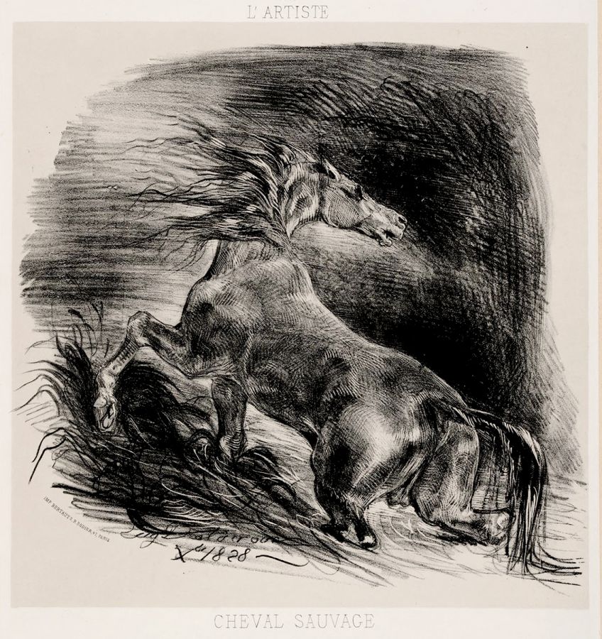 Eugene Delacroix - Cheval Sauvage