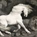 George Stubbs - A Horse Affrighted at a Lion.