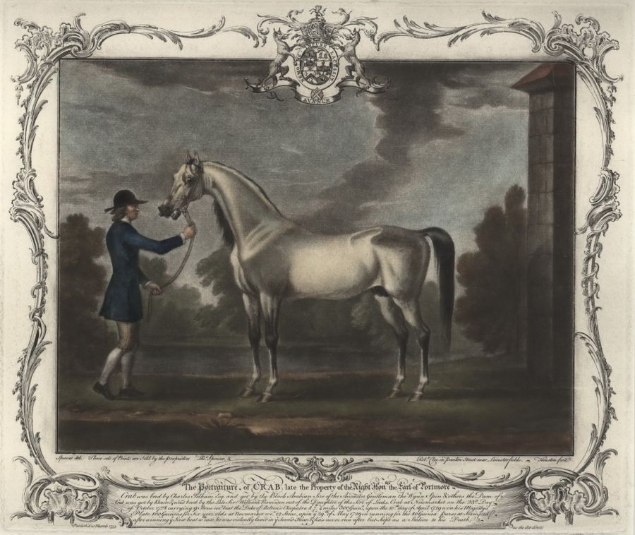 Thomas Spencer (1700-1763/67) - The Portraiture Of Crab [Arabian Horse] Late The Property Of The Right Hon. The Earl Of Portmore