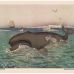 Joseph Fleischmann - Whaling – 1900 Monumental Zoology Original
