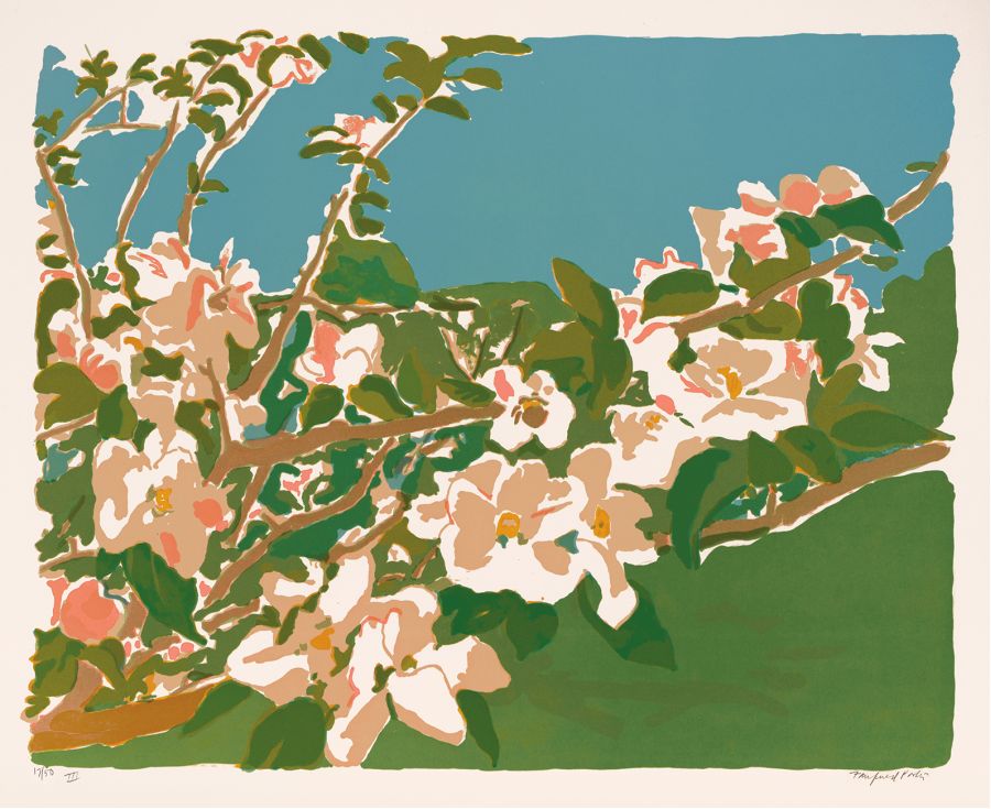 Fairfield Porter - Apple Blossoms III