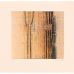 Krishna Reddy - Woman and Her Reflections