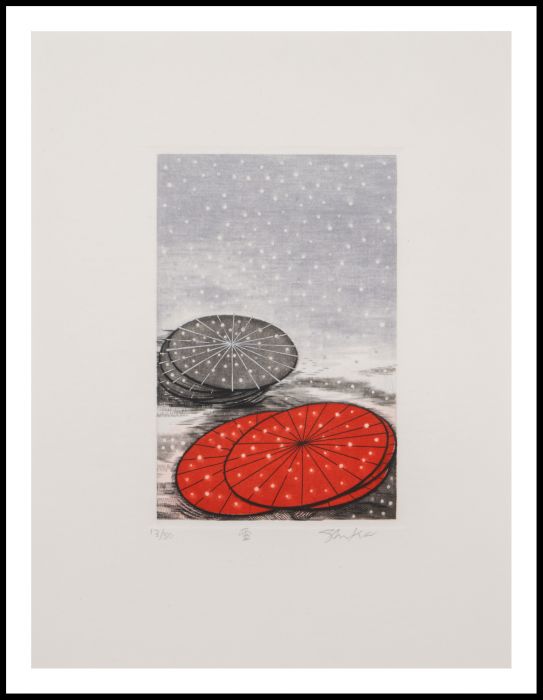 Hiroko＊Snowページ Hiroto Norikane: 