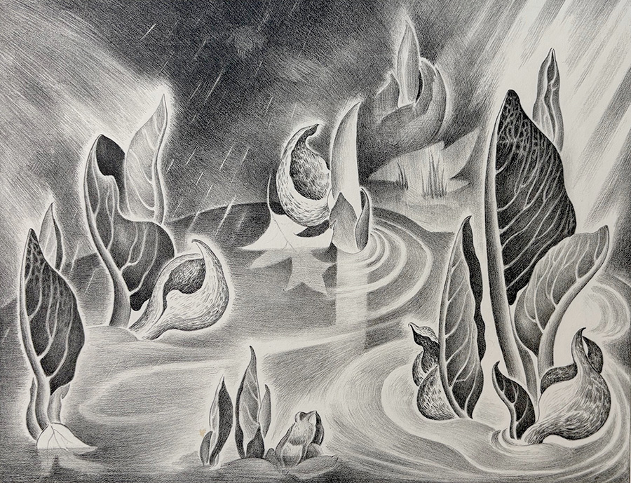 Vera Andrus - Spring in the Marsh Vera Andrus - Spring in the Marsh